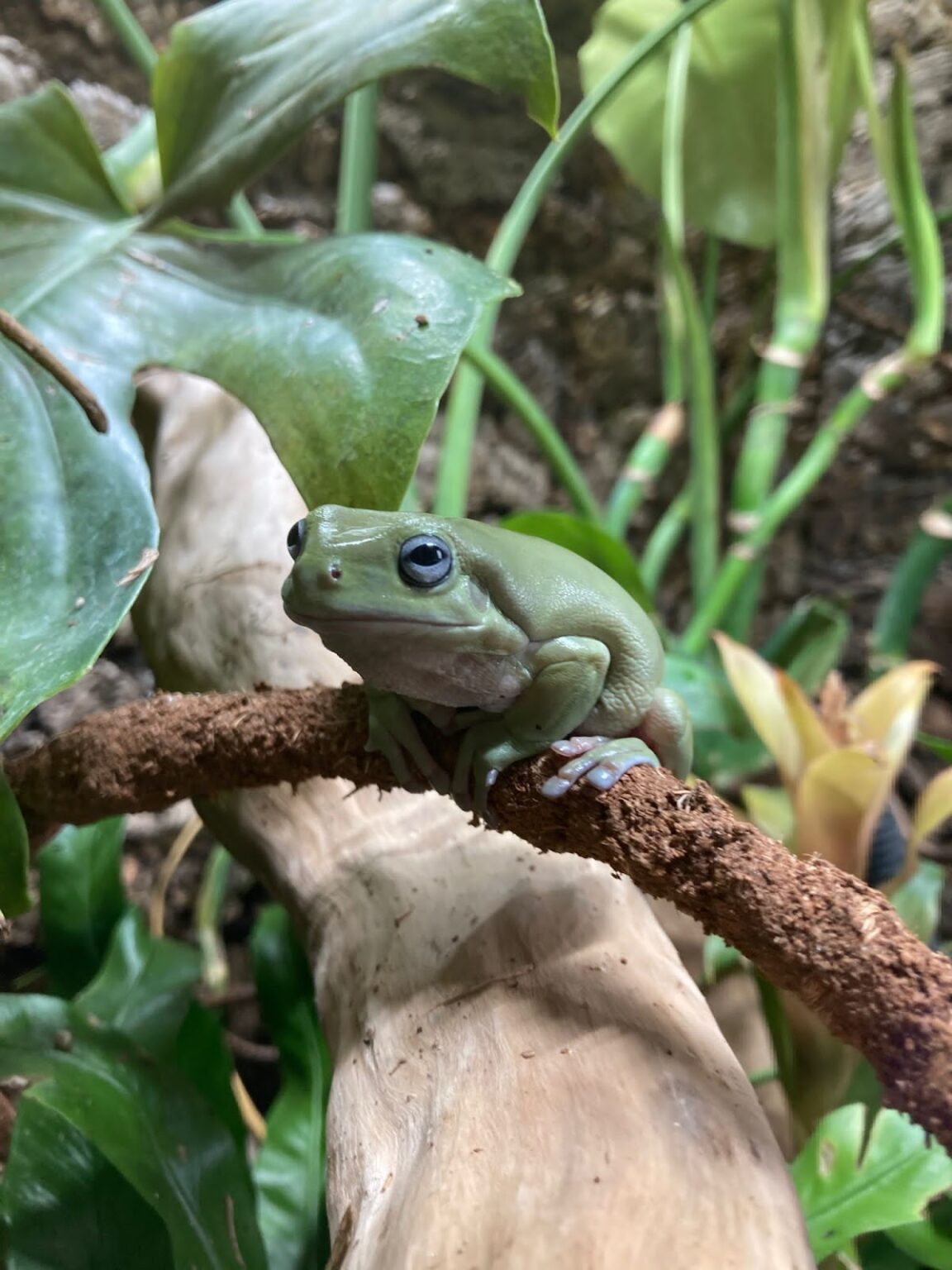 Our Animals | Animal Experiences | Living Things